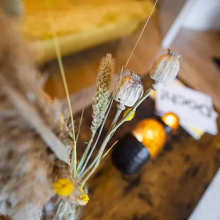 Ruhig Und Zentral. Einzigartig Im Suedviertel * Essen