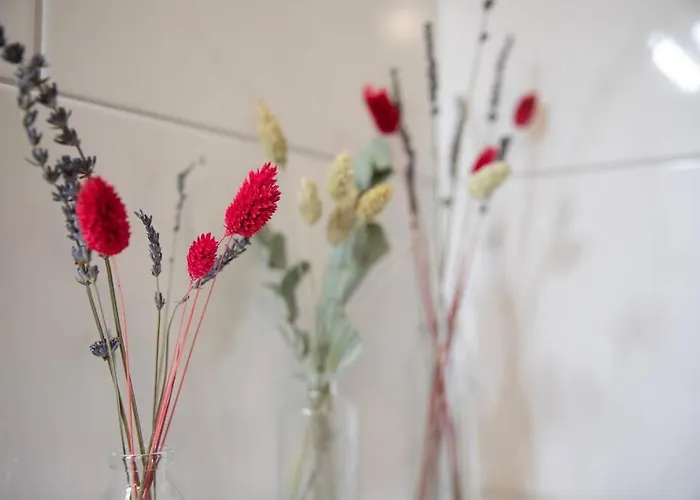 Apartman Ruhig Und Zentral. Einzigartig Im Suedviertel